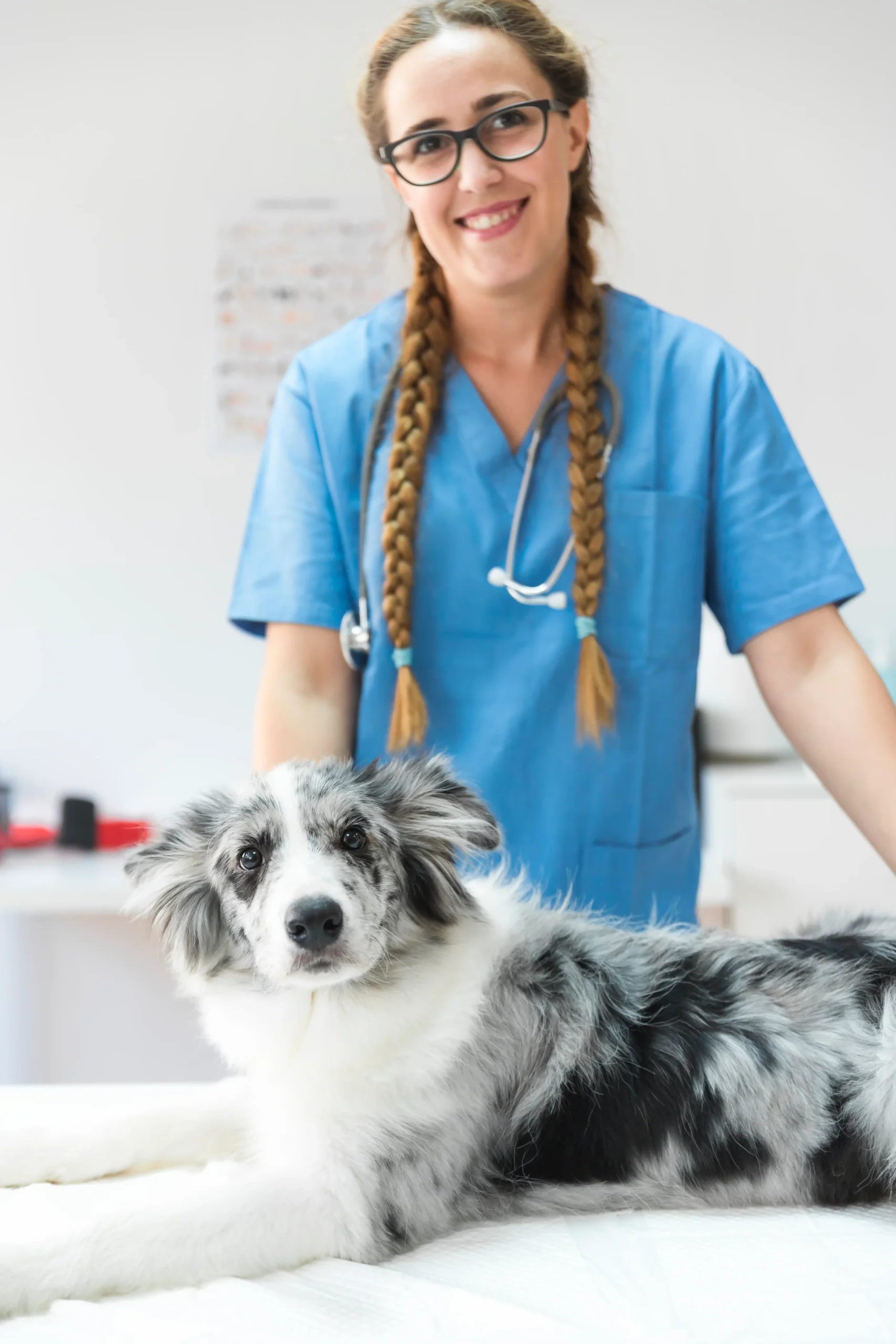 portrait-female-veterinarian-with-dog-lying-table-clinic
